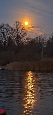 Månsken vid Hjälmaren
