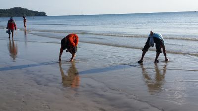 2017 Krabi, Thailand
Picking shells
