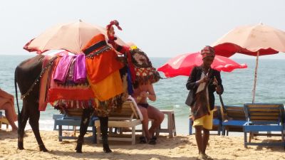 2018 Goa, Indien
on the beach
