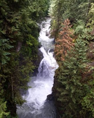 2015-09-03 Lynn Canyon Park, North Vancouver
